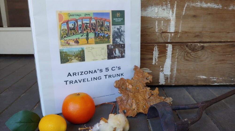A picture of some of the items included in the Arizona's 5 Cs educational Traveling Trunk (copper, citrus fruit, and cotton).