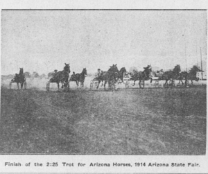 Newspaper clipping from the Holbrook News, dated October 29, 1915. A picture of a horserace with the text, "Finish of the 2:25 Trot for Arizona Horses, 1914 Arizona State Fair."