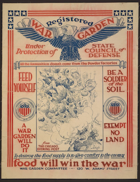 World War I War Garden Poster, with patriotic red and blue print on an off white background. It has an eagle printed at the top, with the words “Registered War Garden Under Protection of State Council of Defense.” Below is has a cartoon from the Chicago Evening Post showing a person with a flag that says, “War Gardens” blowing vegetables out of a cannon at a man wearing a German iron cross around his neck. Around the picture it says, “All the Ammunition doesn’t come from the Powder Factories. Feed Yourself. A War Garden Will Do It. Be a Soldier of the Soil. Exempt No Land.” At the bottom of the poster it says, “To destroy the food supply is to give comfort to the enemy. Food will win the war. War Garden Committee – 120 Adams Street.”