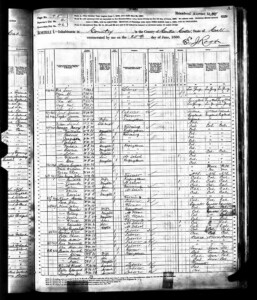 El censo de 1880, que muestra a Alex como un trabajador de 20 años de edad de las Azores que vive en el condado de Contra Costa, California.