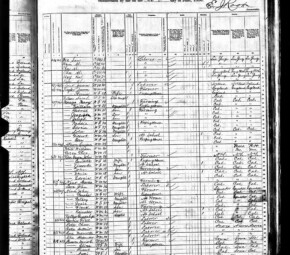 El censo de 1880, que muestra a Alex como un trabajador de 20 años de edad de las Azores que vive en el condado de Contra Costa, California.