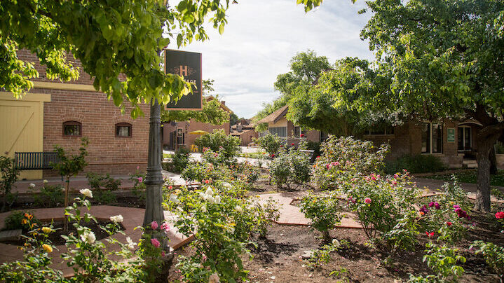A picture of the Heritage Square Memorial Rose Garden.
