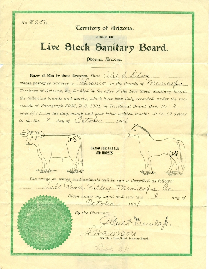 The certificate from the Arizona Live Stock Sanitary Board in 1901, showing the brand assigned to the Silvas for their cattle and horses. The brand looks like the capital letters A and S together, with the A laying on its side and the top of the A next to the S. The S sits upright.