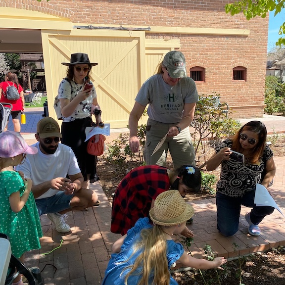 A picture of a group of people doing garden activities.