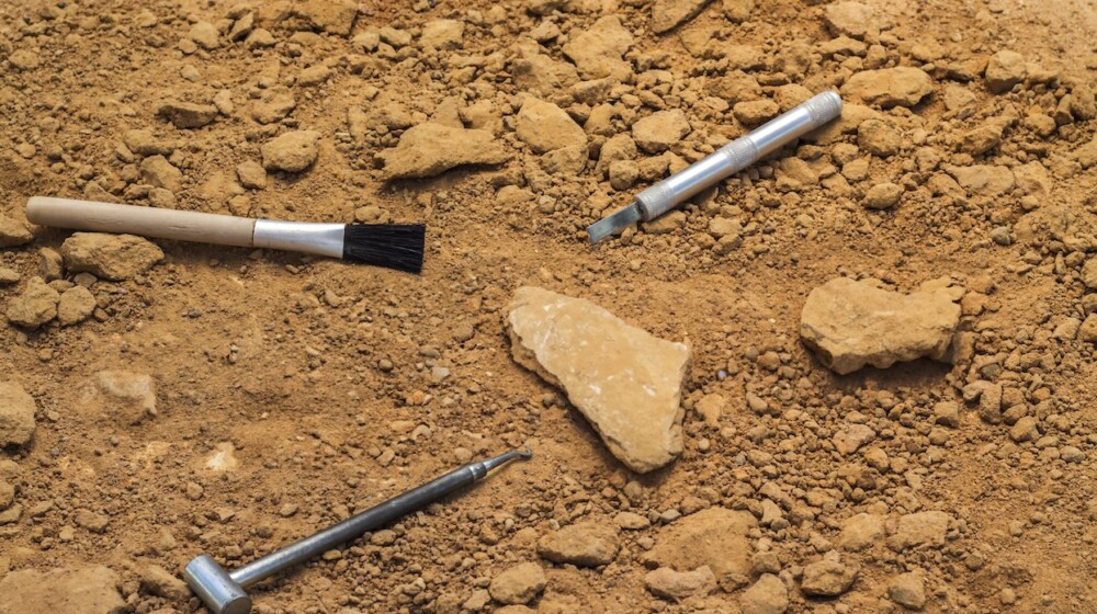 A picture of tools used in archaeological digs, on a dirt surface.