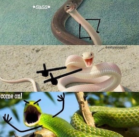 A funny image showing pictures of snakes that have arms and hands drawn on them in sassy, positive, and cranky ways.